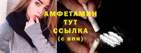 скорость Новозыбков