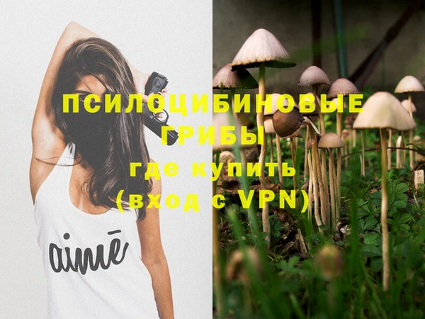 прущая мука Новодвинск