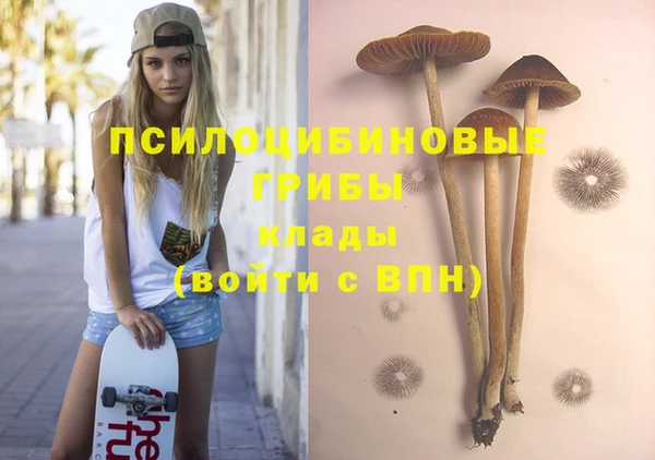 прущая мука Новодвинск