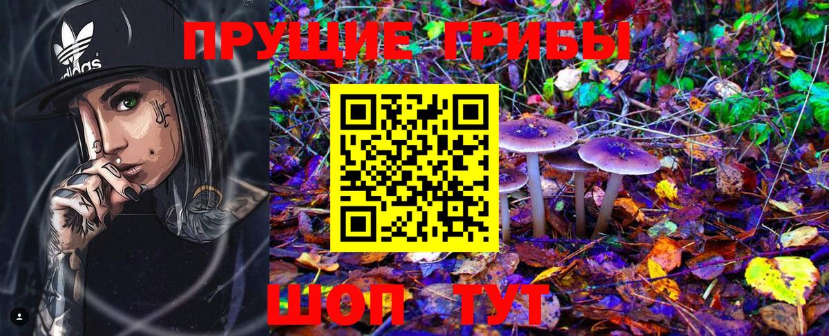 Псилоцибиновые грибы мицелий Борисоглебск