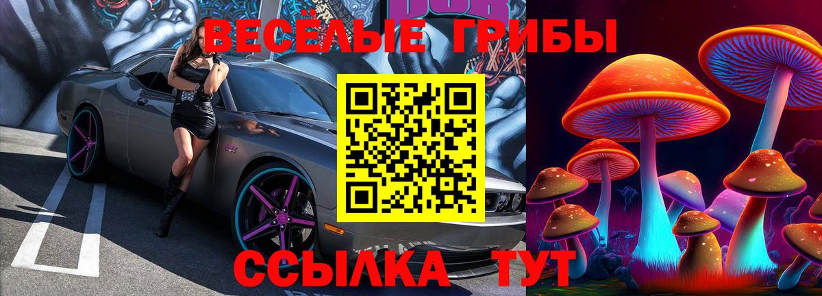 Псилоцибиновые грибы мухоморы Борисоглебск