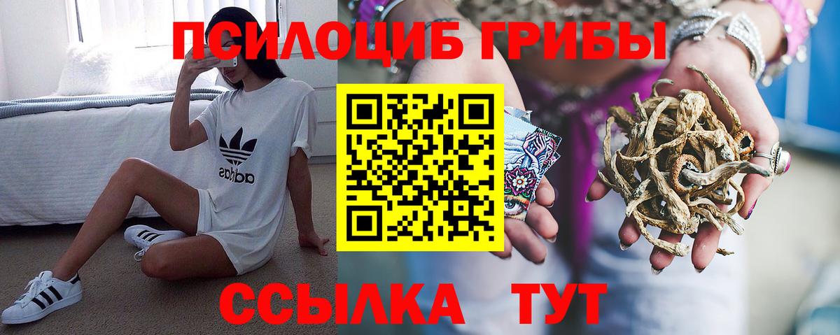 Псилоцибиновые грибы Magic Shrooms  Галлюциногенные грибы Magic Shrooms  Борисоглебск  Вход с VPN 